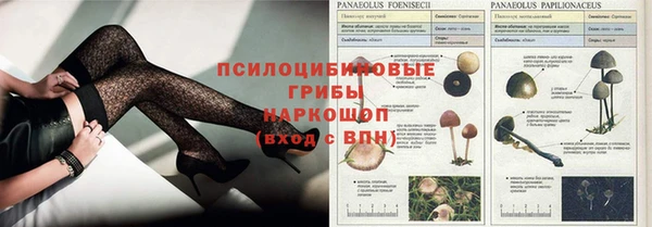 первитин Балахна