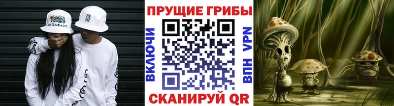 Галлюциногенные грибы мицелий купить наркоту Корсаков